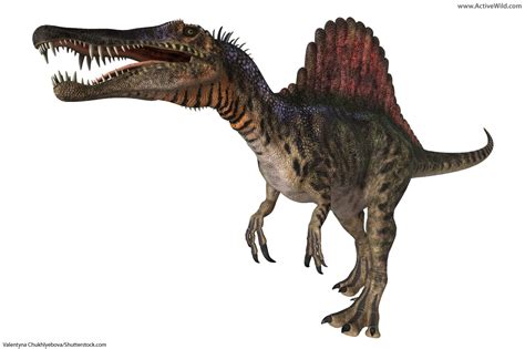 List Of Dinosaurs – Dinosaur Names With Pictures & Information