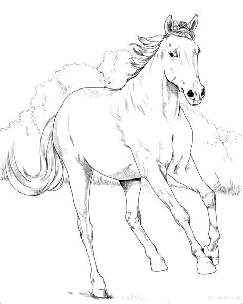 Dibujos de Caballos para colorear | Wonder-day.com