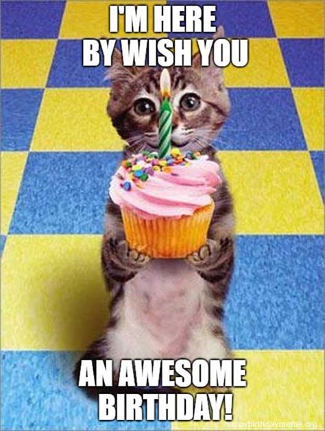 Grumpy Cat Happy Birthday Meme