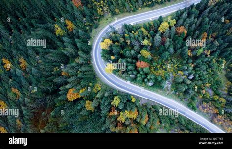 Top view, road through dense forest. Aerial view Stock Photo - Alamy