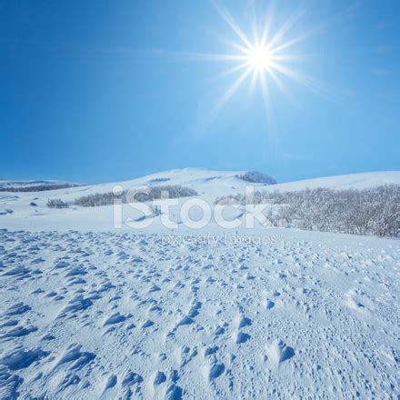 Winter Fields In A Snow Stock Photo | Royalty-Free | FreeImages