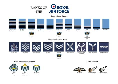 Large A3 Ranks of the Royal Air Force RAF Poster ( rank structure New ...