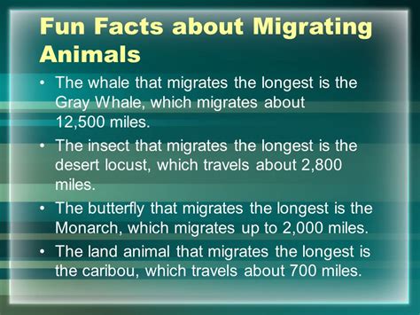 Animal Migration. - ppt video online download