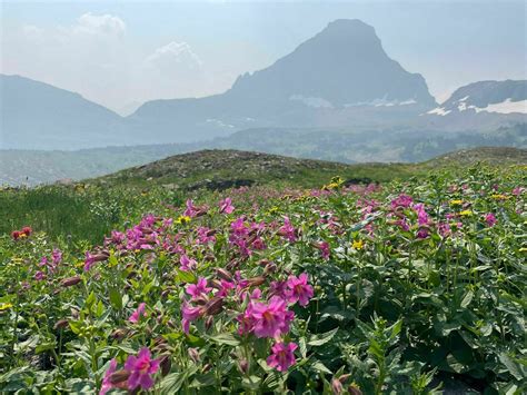 Photos of Hidden Lake Trail - Montana | AllTrails