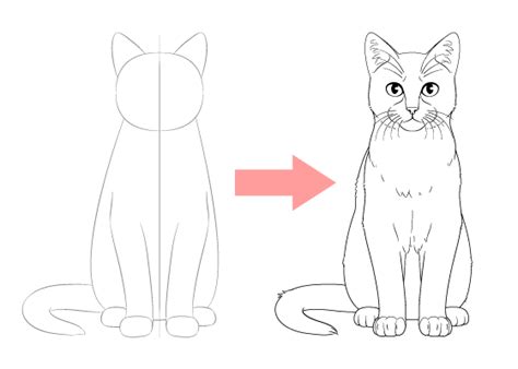 How to Draw a Cat Step by Step - EasyDrawingTips