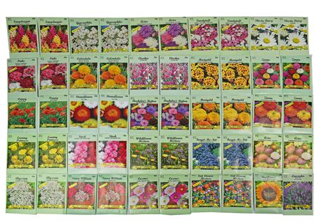 Set of 100 Assorted 2019 Valley Green Flower Seed Packets! Flower Seeds ...