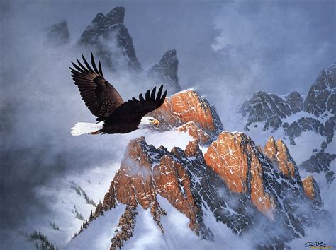 1920x1080px, 1080P free download | Eagle Flying in The Mountains, bird ...