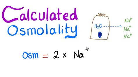 Calculated Osmolality - YouTube