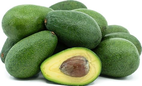 Fuerte Avocados Information, Recipes and Facts