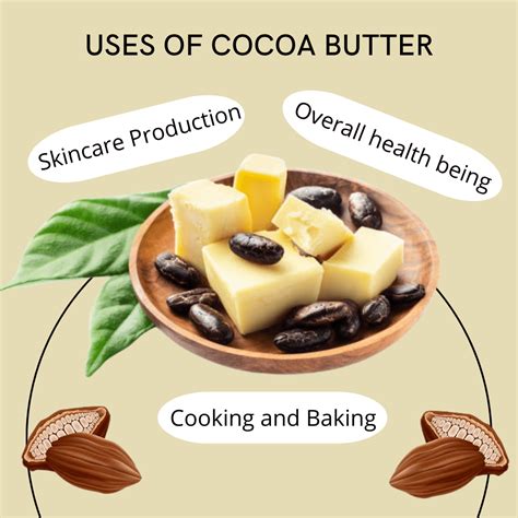 Cacao Butter Vs Cocoa Butter: What You Didn't Know![2024]