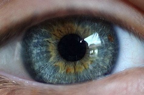 Complex eye color question. : biology