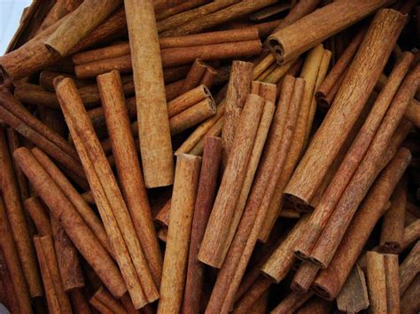 CASSIA/ CINNAMON products,Turkey CASSIA/ CINNAMON supplier