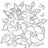 Flower Hibiscus Coloring Page  Free Printable Pages For Kids sketch template