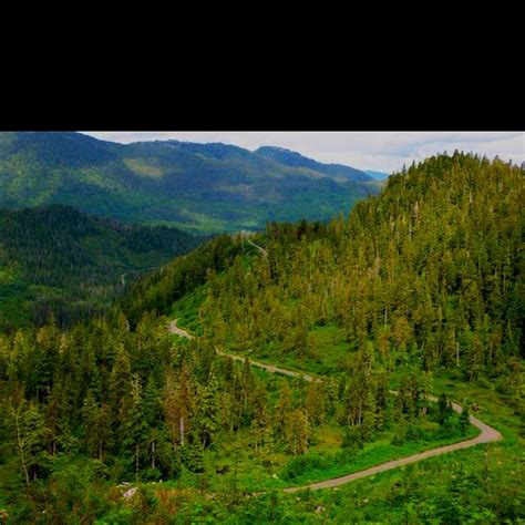 Ketchikan Alaska hiking - Dude Mountain trail | Ketchikan alaska, Tongass national forest, Ketchikan