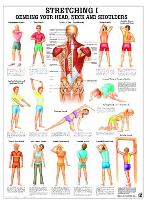 Neck Stretching Before And After