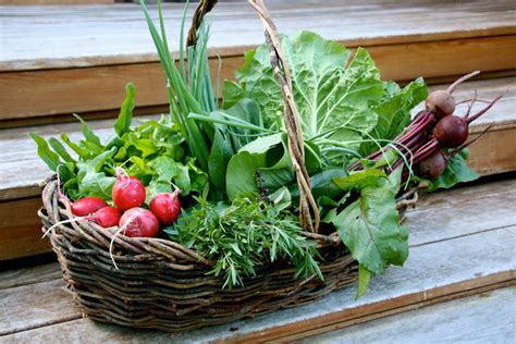 From the Kitchen to the Kouch: Organic Vegetable Basket Inspires Dinner!