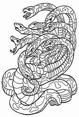 20  Python Coloring Pages Free Printable PDF & Online sketch template