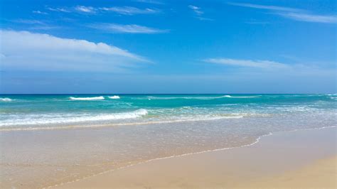 Beach And Blue Sky Free Stock Photo - Public Domain Pictures