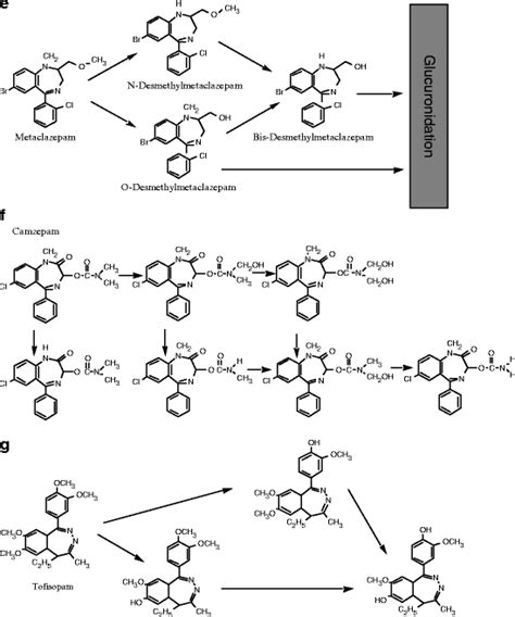 Drug Interactions with Benzodiazepines: Epidemiologic Correlates with Other CNS Depressants and ...