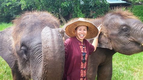 Elephant Rescue Park Chiang Mai [no riding] - YouTube