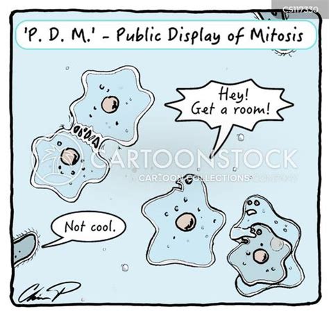 Meiosis Comic Strip