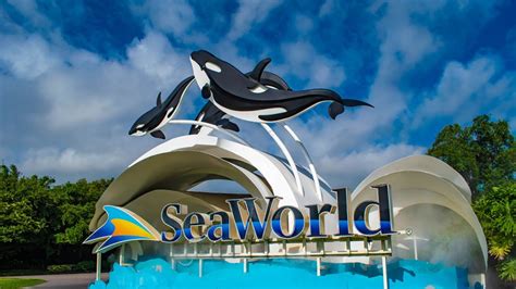 SeaWorld Roller Coasters, Rides Now Open Again – NBC 7 San Diego