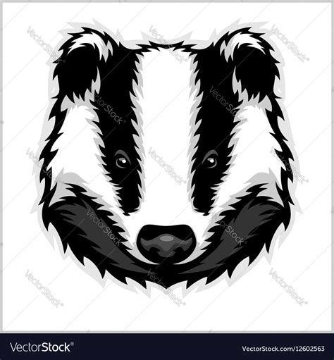 Badger Head black and white Royalty Free Vector Image