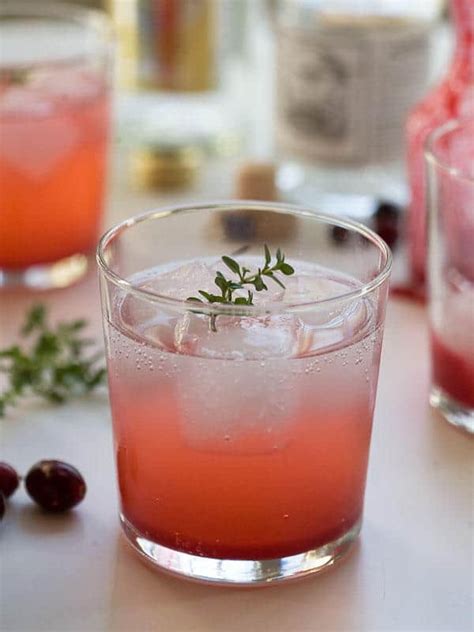24 Gin and Tonic Recipes that Transform the Classic - An Unblurred Lady
