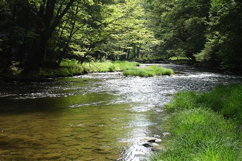 Allegheny National Forest | Hatch Magazine - Fly Fishing, etc.