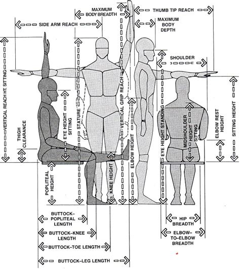 Science behind furniture design | Design, Furniture design, Woodworking