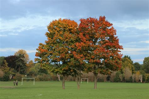 15 Best Walks In Watford (Hikes & Nice Walks) - VisitParks