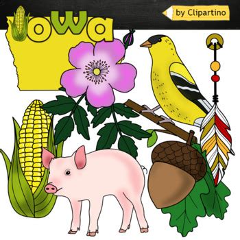 Iowa state symbols Clip Art by Clipartino | TPT