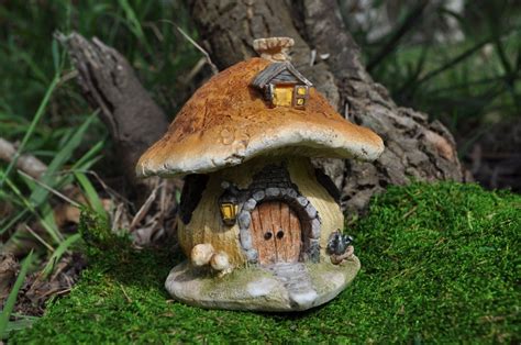 Mushroom Fairy House