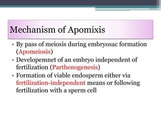 Apomixis | PPT