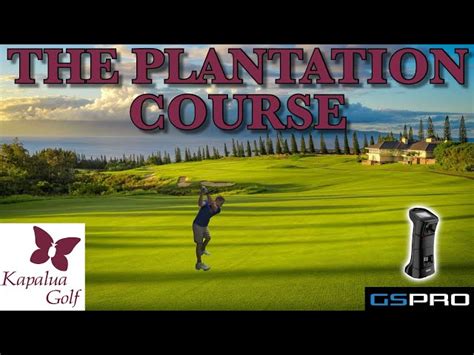 27+ Kapalua Plantation Course Scorecard - AbbigailChe