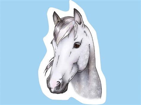 How to draw a horse's head | Drawing horses & ponies | Pony Magazine