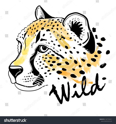 Cheetah Face Clipart Images