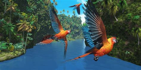 Cuban Red Macaw 2 stock illustration. Illustration of tropics - 20196938