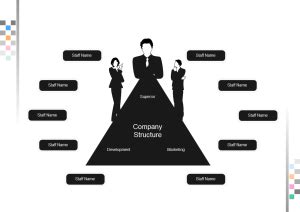 Custom Organizational Charts with Examples and Templates