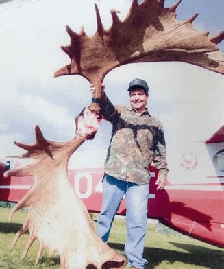 The astonishing size of the antlers of a moose, the undisputed largest ...