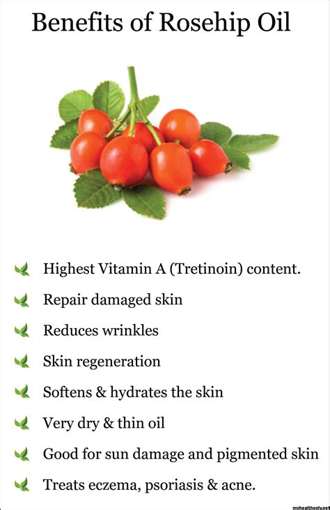 8 Tremendous Benefits of Rosehip Oil, You must to know - My Health Only