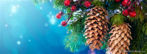 Christmas Tree Pine Cones Facebook Cover - Holidays