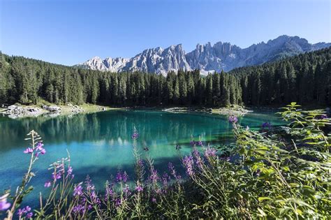 Lago di Carezza: la magica atmosfera di un lago alpino (con immagini ...