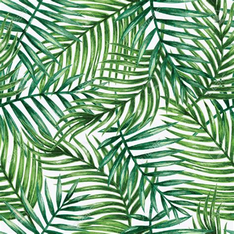 Znalezione obrazy dla zapytania bamboo wallpaper | Palm leaves, Outdoor canvas, Palm tree leaves