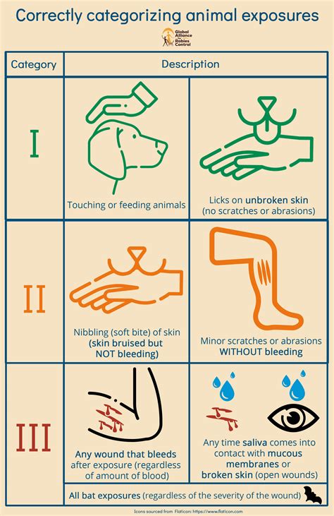 Wound Category Poster | Global Alliance for Rabies Control