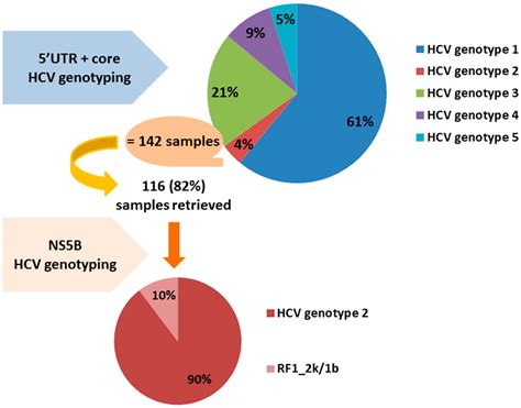 Genotype 3 hep c