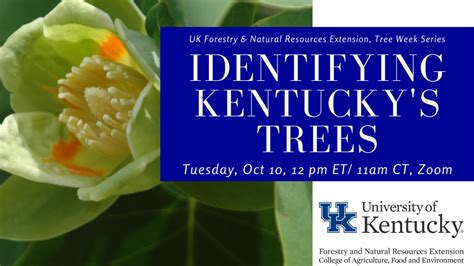 Identifying Kentucky’s Trees | Urban Forest Initiative