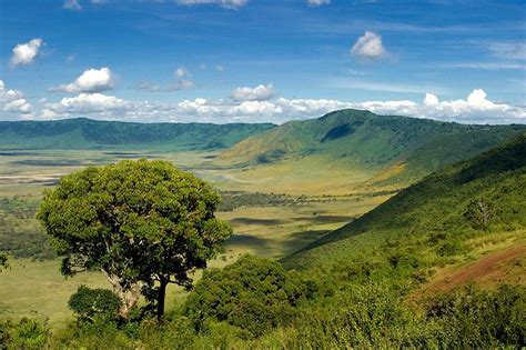 Ngorongoro Crater Safari Holiday | Tanzania | Safari Guide Africa