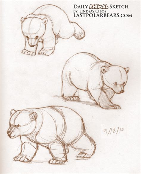 Daily Animal Sketch – Polar Bear Cub – Knut – Last of the Polar Bears