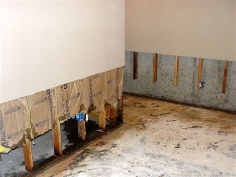 Drywall Damage: Wet Drywall & Mold | Fixing Water & Mold-Damaged Drywall